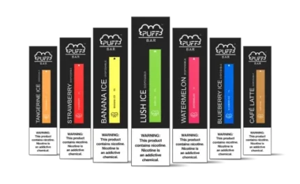 PUFF BAR 400 PUFFS – Compact Disposable Vape