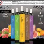 VUDU FILTER 2500 PUFFS – Disposable Vape